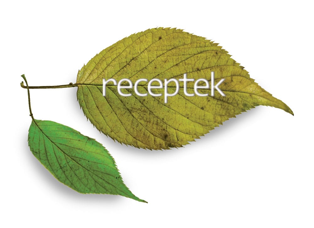 receptek_leaf